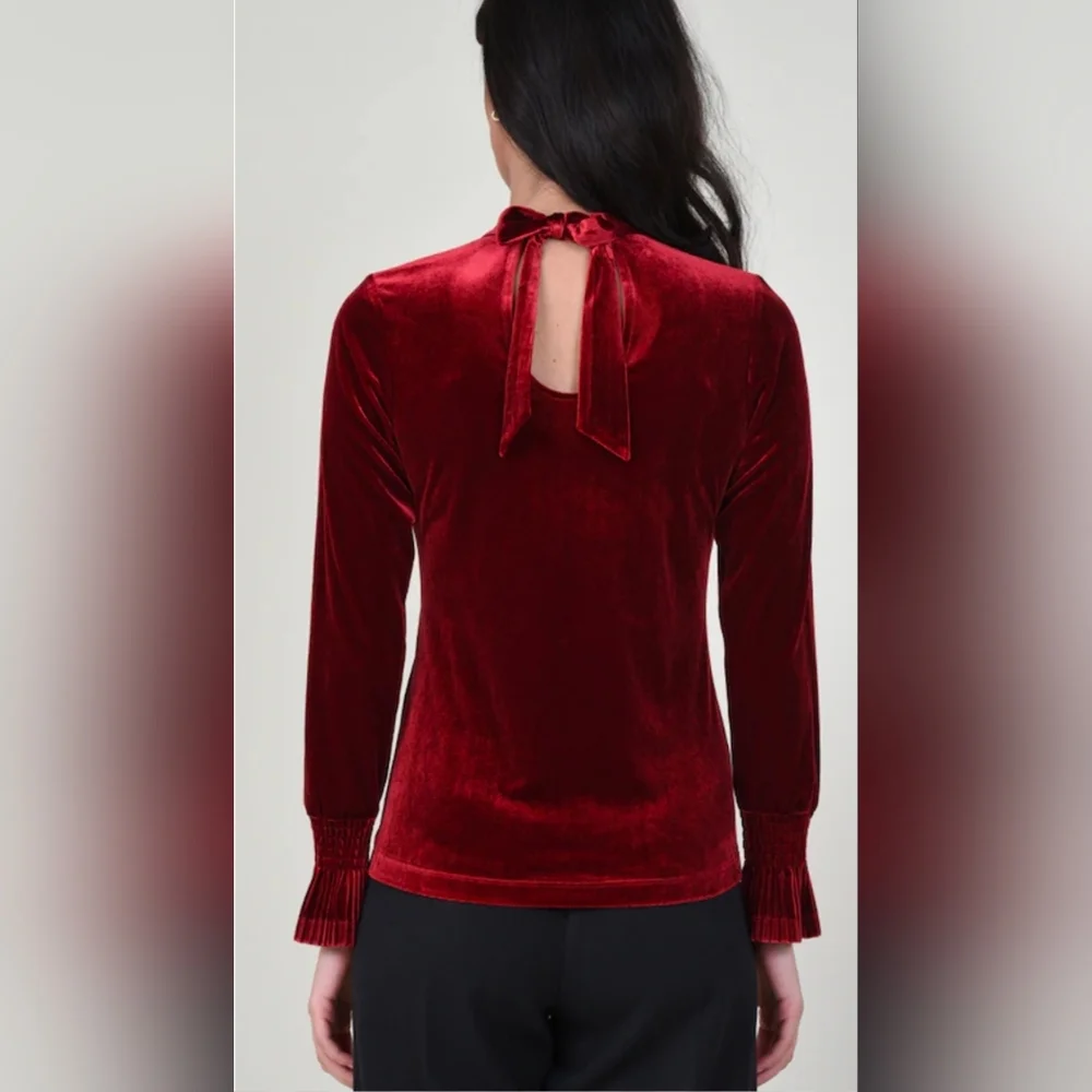 Molly Bracken Elegant Velvet Red Top - Picture 2 of 10